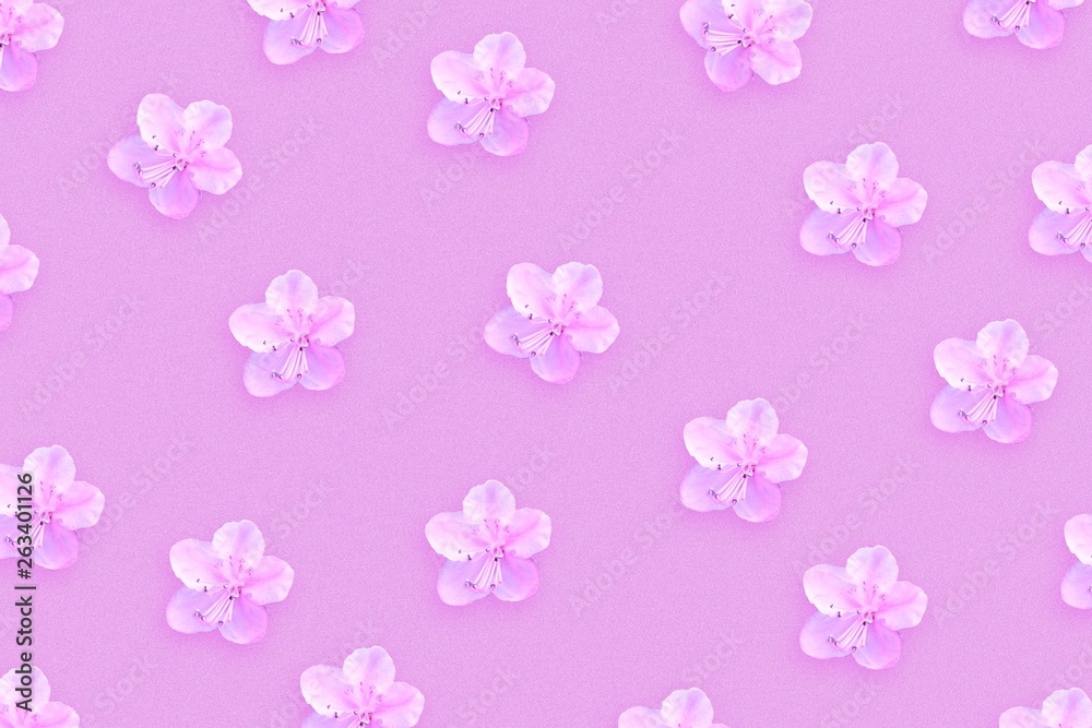 Light pink background with beautiful spring flowers.Congratulatory background. Holiday card. Light pink background with beautiful spring flowers.Congratulatory background. Holiday card.