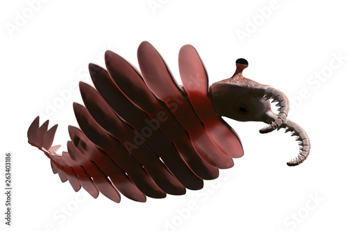Anomalocaris, creature of the Cambrian explosion, isolated on white background (3d paleoart illustration) photo