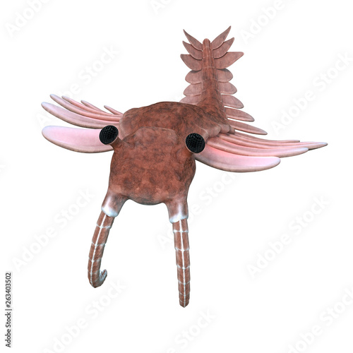 Anomalocaris, creature of the Cambrian period, isolated on white background (3d paleoart illustration) photo