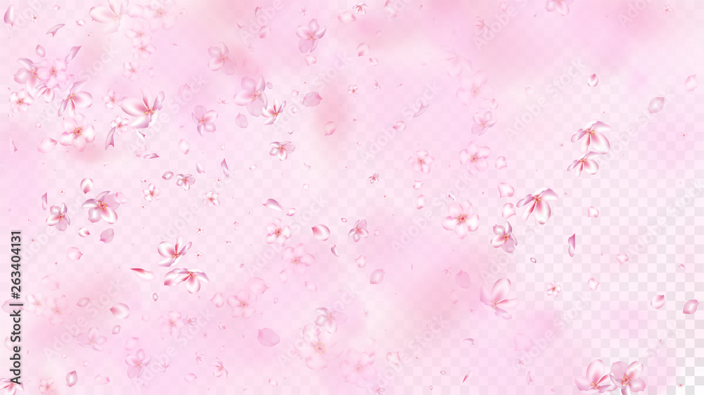 Nice Sakura Blossom Isolated Vector. Watercolor Showering 3d Petals Wedding Design. Japanese Blurred Flowers Wallpaper. Valentine, Mother's Day Pastel Nice Sakura Blossom Isolated on Rose