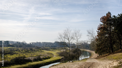 Winterlandscape in Holland  named: Amsterdamse waterleidingduinen or Panneland