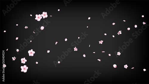 Nice Sakura Blossom Isolated Vector. Spring Showering 3d Petals Wedding Pattern. Japanese Funky Flowers Illustration. Valentine, Mother's Day Spring Nice Sakura Blossom Isolated on Black