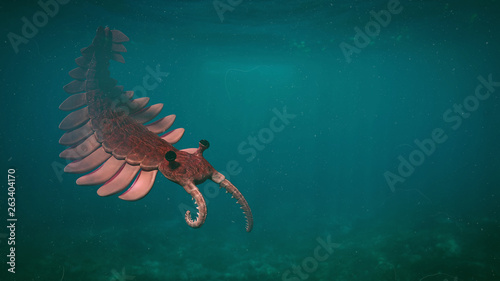 Anomalocaris, creature of the Cambrian period (3d paleoart illustration) photo