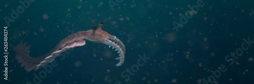 Anomalocaris, creature of the Cambrian period (3d science illustration banner) photo