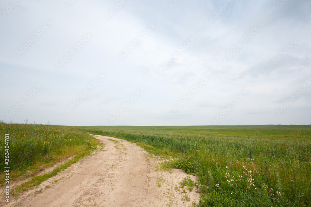 Rural summer landscape with the field and the road Rural summer landscape with the field and the road