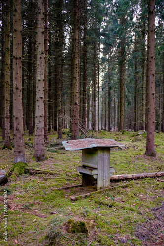 some type of old feeding box out in the forest