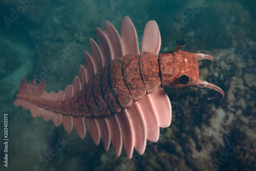 Anomalocaris, prehistoric creature of the Cambrian period (3d science rendering) photo