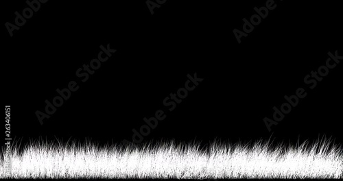 Old grass sways in the wind. Seamless looping (loop). Transparent background, alpha channel and luma matte 59,94 fps