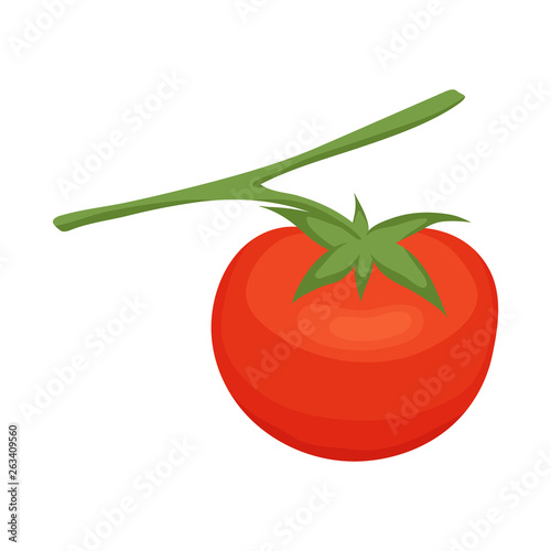 Isolated object of tomato and red sign. Set of tomato and ripe vector icon for stock.