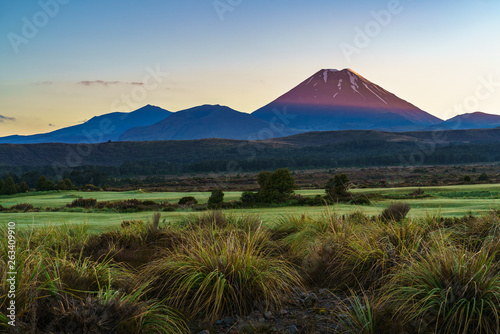 Cone volcano,sunrise,Mount Ngauruhoe,New Zealand 8