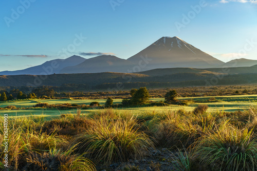 Cone volcano,sunrise,Mount Ngauruhoe,New Zealand 31