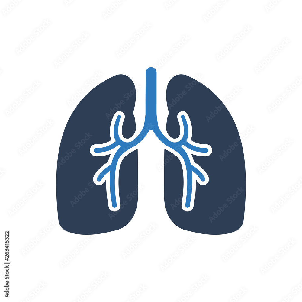 Human Lungs Icon Human Lungs Icon