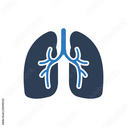 Human Lungs Icon