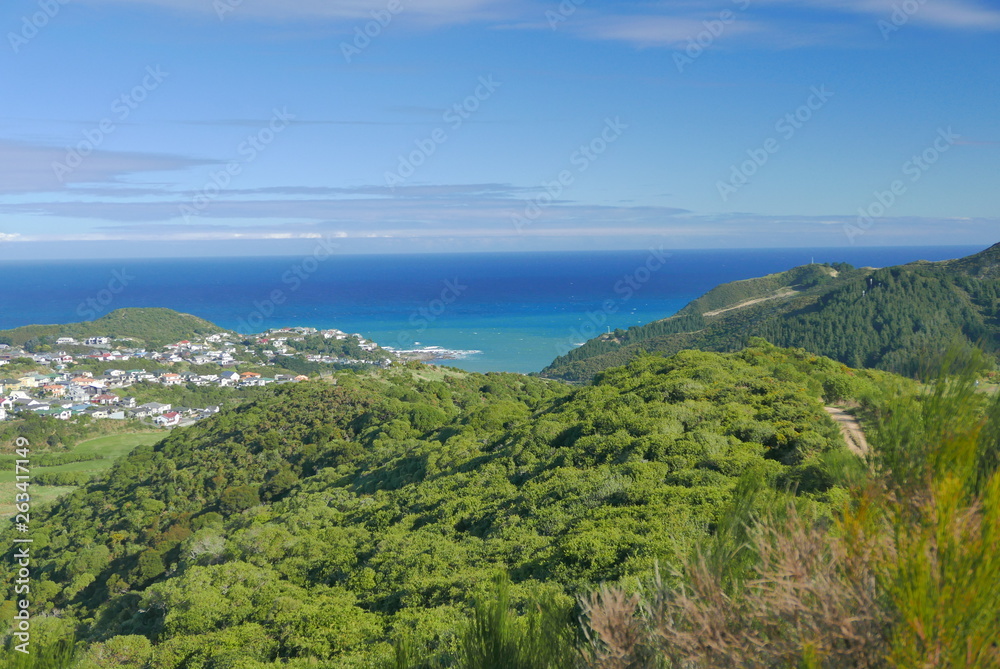 côte de wellington nouvelle zelande