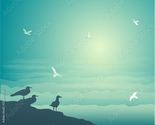 seagulls flying in the early morning, seagulls nest,