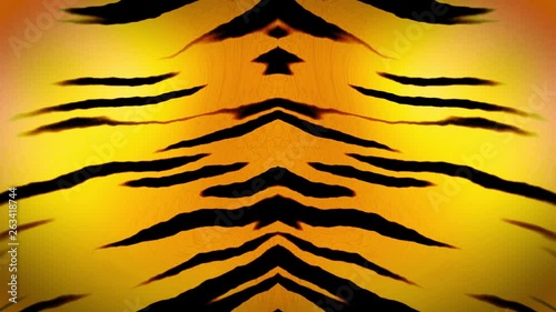 tiger skin background000299