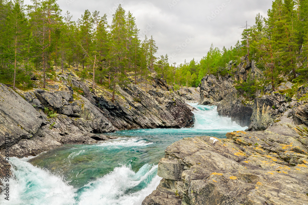 Fototapeta premium Mountain wild river valley landscape. Mountain river flowing through the green forest. Panoramic view of the mountain river. Raging mountain river in green valley. Norway nature and travel background.