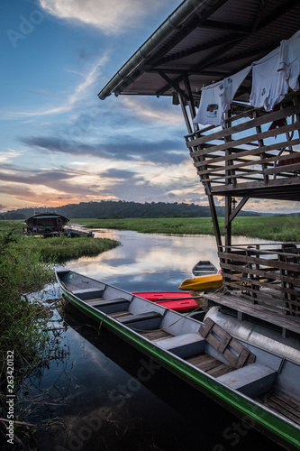 Obraz na plátně Sunset in Kaw swamp, Guyana, Cayenne, France