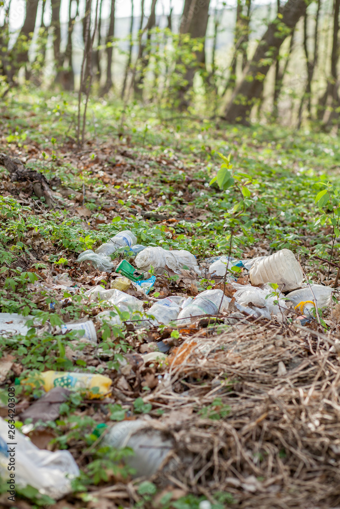 Plastic trash in the forest. Tucked nature. Plastic container lying in the grass Plastic trash in the forest. Tucked nature. Plastic container lying in the grass