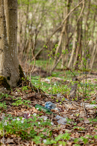 Plastic trash in the forest. Tucked nature. Plastic container lying in the grass
