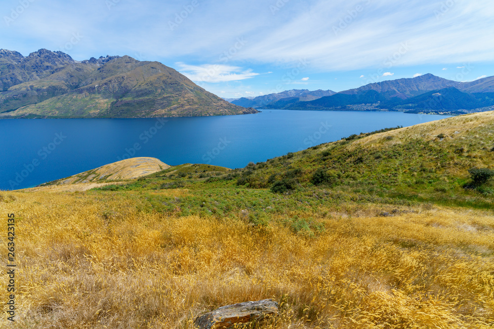 hiking jacks point track with view of lake wakatipu, queenstown, new zealand 9