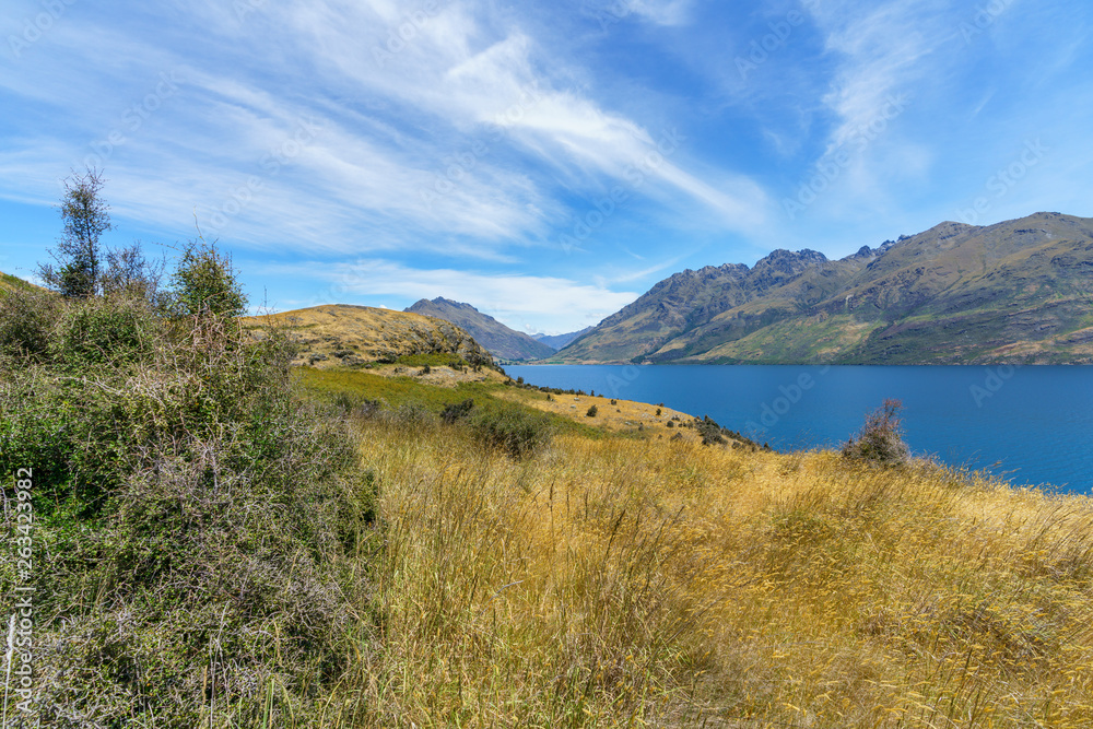 hiking jacks point track with view of lake wakatipu, queenstown, new zealand 52
