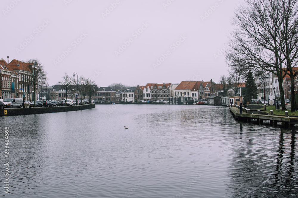 Splendind gray cityscape of old city. Black water of Spaarne river reflecting shadows of the trees. Buildings representing classical Durch architecture.