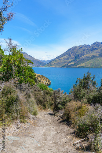 hiking jacks point track with view of lake wakatipu, queenstown, new zealand 66
