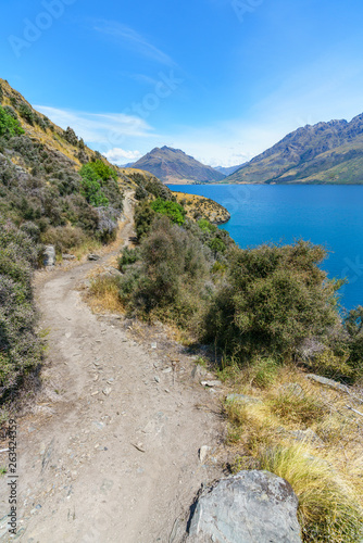 hiking jacks point track with view of lake wakatipu, queenstown, new zealand 69