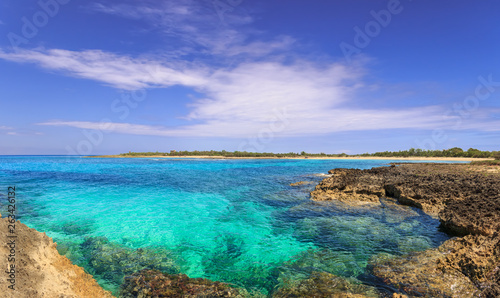 Fototapeta Naklejka Na Ścianę i Meble -  Summer beach.Torre Guaceto Nature Reserve: panoramic view of the coast from the cliff, Italy (Apulia). Mediterranean maquis: a nature sanctuary between the land and the sea.