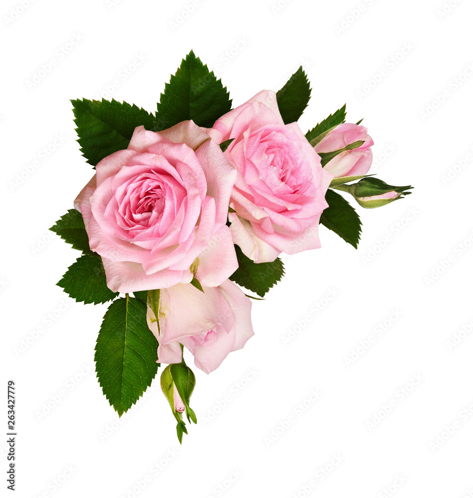 Fototapeta premium Pink rose flowers with green leaves in a corner arrangement