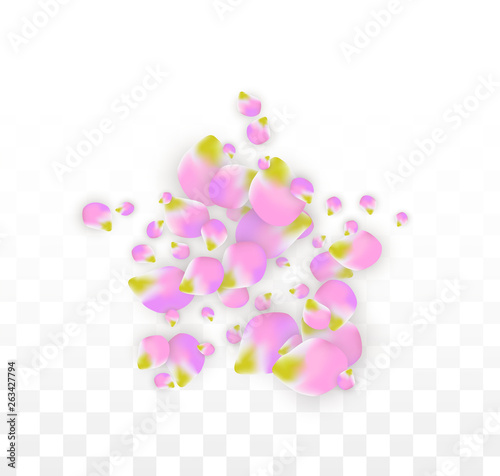 Vector Realistic Pink Petals Falling on Transparent Background. Spring Romantic Flowers Illustration. Flying Petals. Sakura Spa Design. Blossom Confetti.