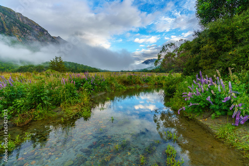 river in the mountains, southland, new zealand 11