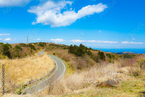 大観山から見た風景
