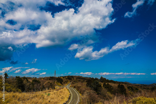 大観山から見た風景