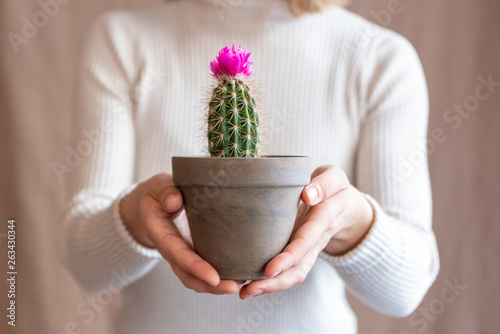 Woman holding a cactus pot