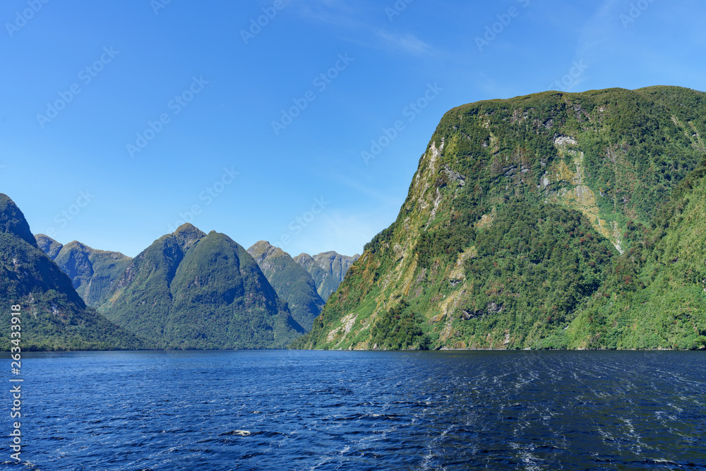 boat trip in the fjord, doubtful sound, fjordland, new zealand 3