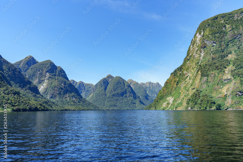 boat trip in the fjord, doubtful sound, fjordland, new zealand 6