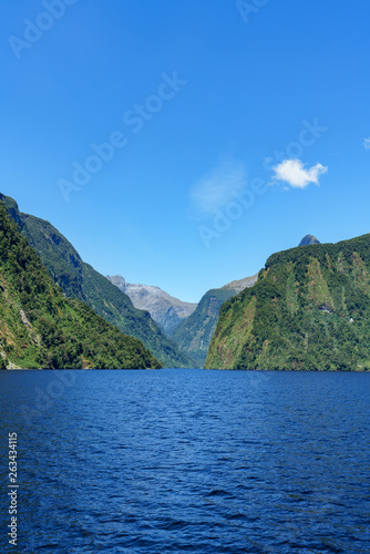 boat trip in the fjord, doubtful sound, fjordland, new zealand 12