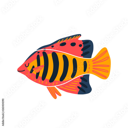 Isolated fish illustration. Set of freshwater aquarium cartoon colored fishes. Flat design sea tropical fish. Vector art Centropyge