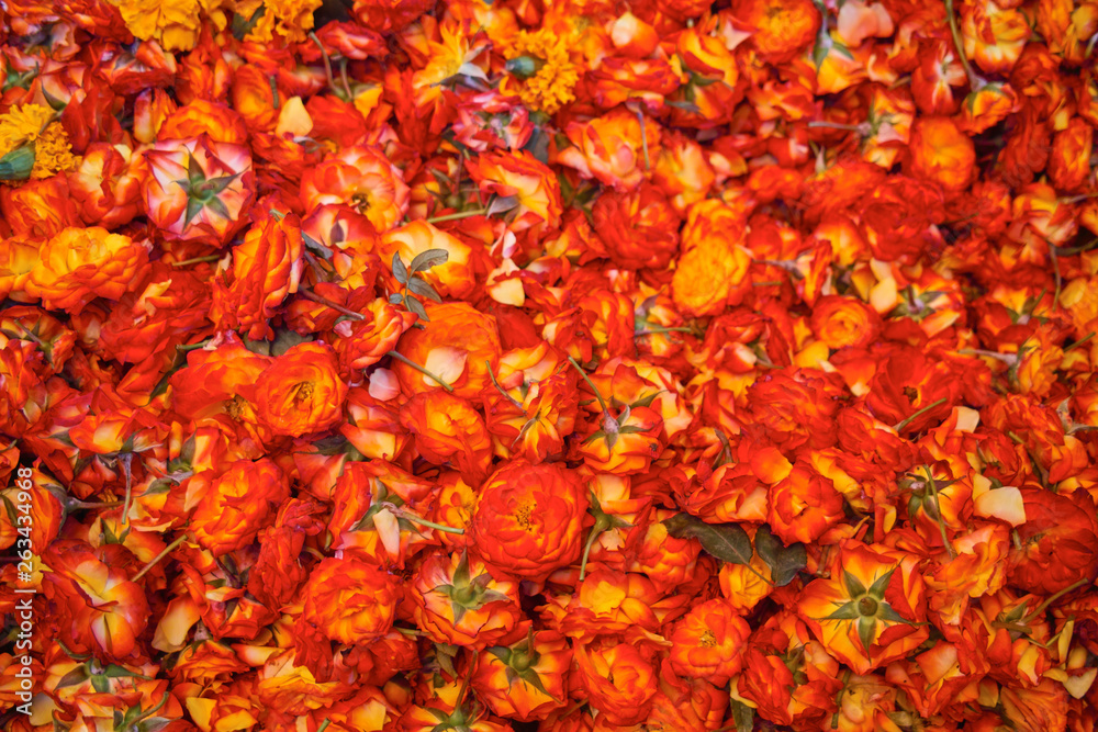 red colored flower background