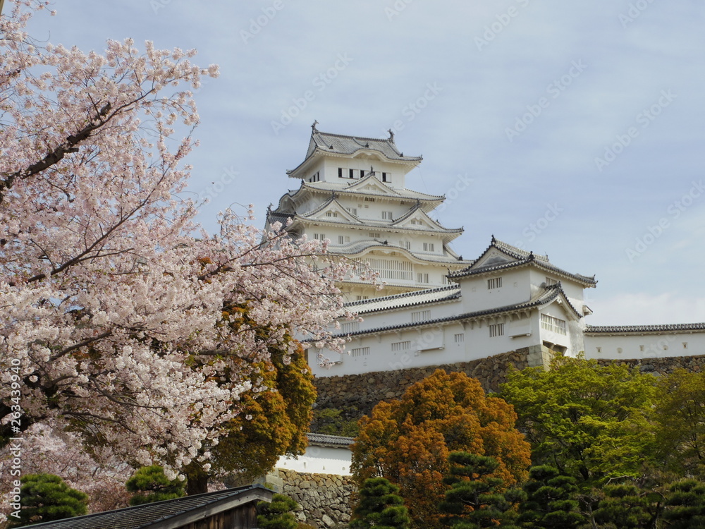世界遺産の姫路城
