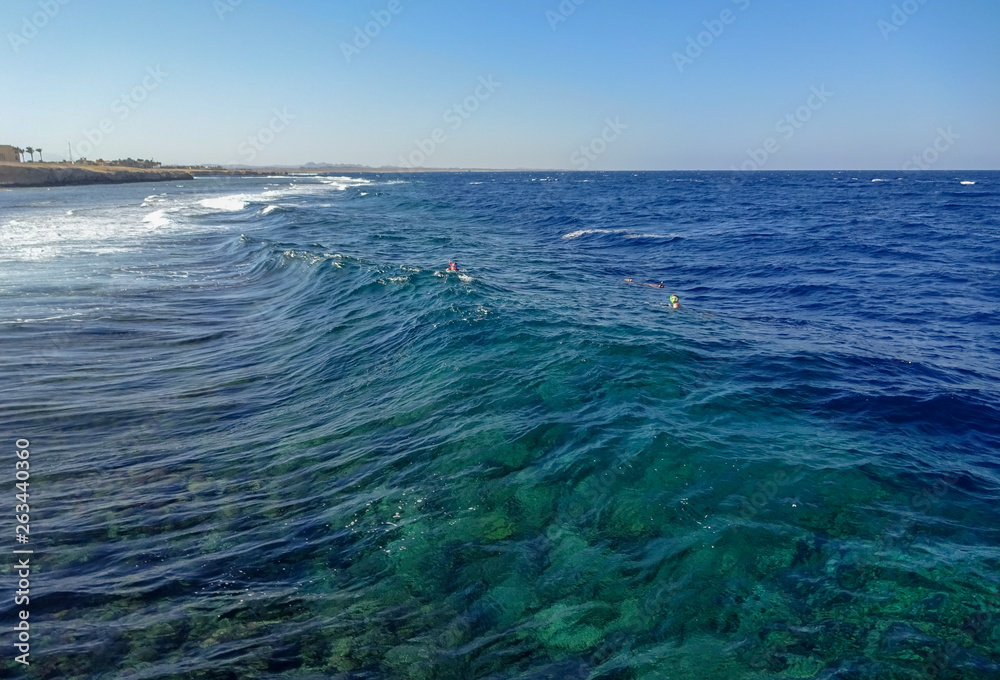 Marsa Alam is amazing diving resort in Egypt