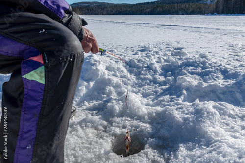 Winterfishing on the ice of a lake with a fish on the hook, picture from Northern Sweden. photo