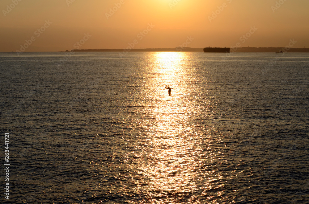 Naklejka premium 黄昏の海