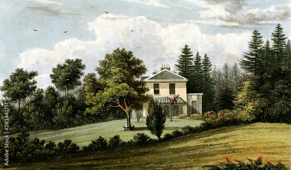 Obraz premium Landscape with house