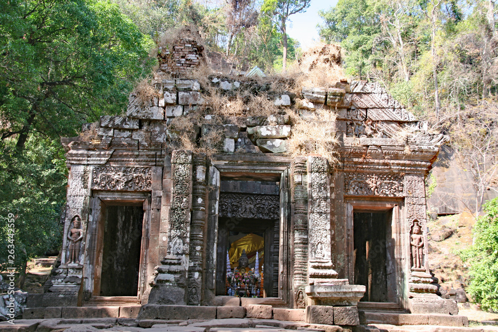 vat phou in champasak laos