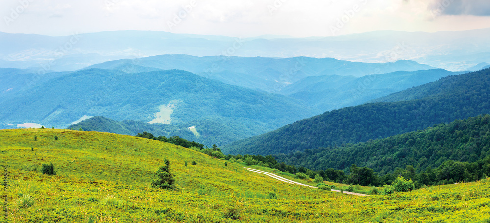 mountain panorama on cloudy summer noon.  road winds uphill green meadows. beautiful nature landscape. forested distant ridge