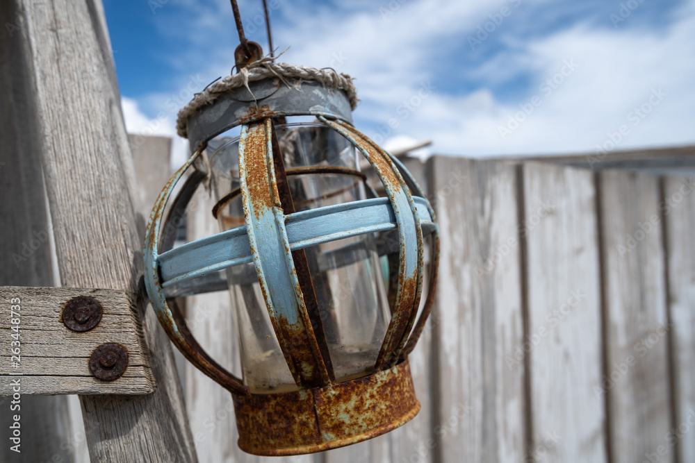 Lampe / Ses Salinas / Mallorca Lampe / Ses Salinas / Mallorca
