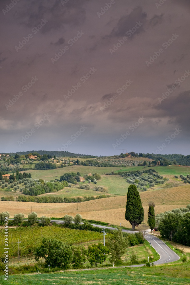 Montepulciano hills. Countryside. Tuscany, Italy.